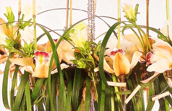 Arreglo-orquideas-cymbidium-semmillas-detalle