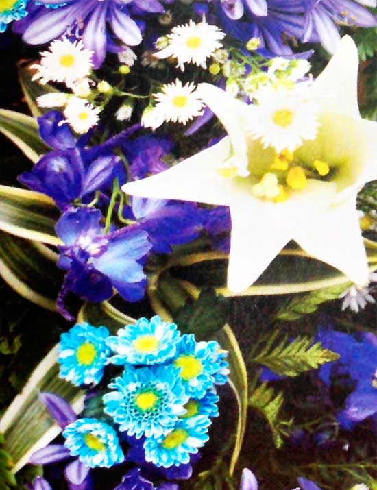 Crisantemos-azul-turquesa-azucenas-blancas-detalle