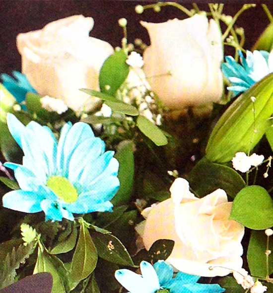Rosas-blancas-margaritas-azules-detalle