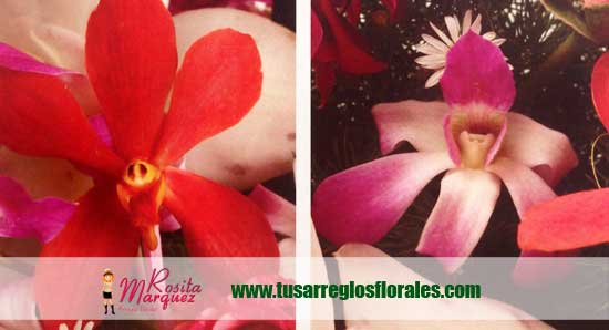 Regala-arreglo-floral-con-orquideas