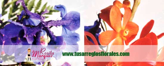 decoracion-con-orquideas-moradas