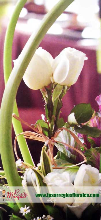 flores-calas-blancas
