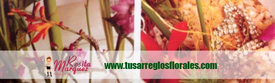 flores-orquideas-para-espacios-amplios