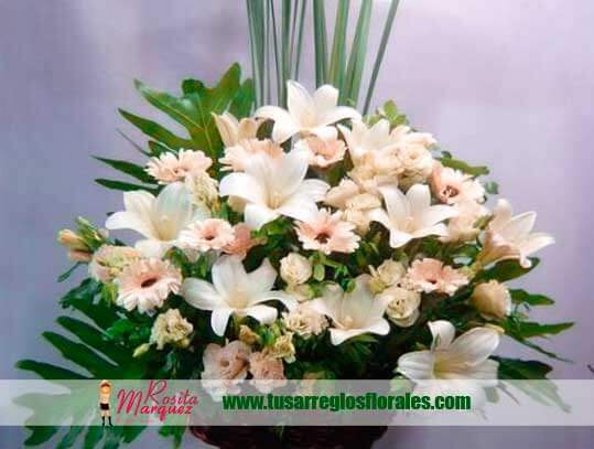 crisantemos-flores-difuntos-entierros