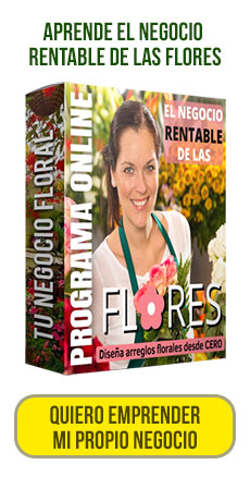 Aprende del negocio de las flores