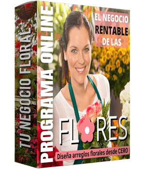 Aprende del negocio de las flores